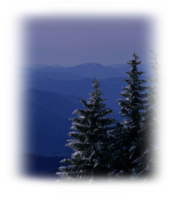 Mount Mitchell sits in Yancy County